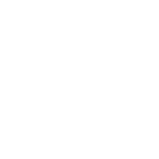 Mariachi Juvenil Tamazula