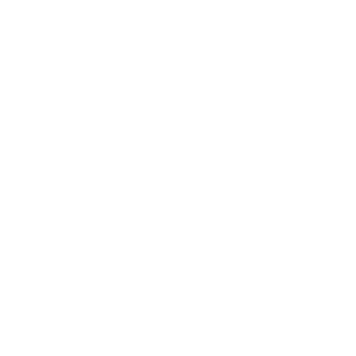 Mariachi Juvenil Tamazula
